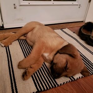 Meet your Posher, Eryne